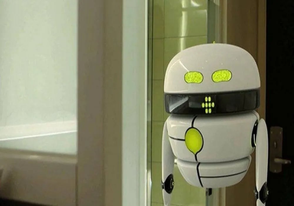 BOTS: The New Perimeter and How to Perform Testing on it?