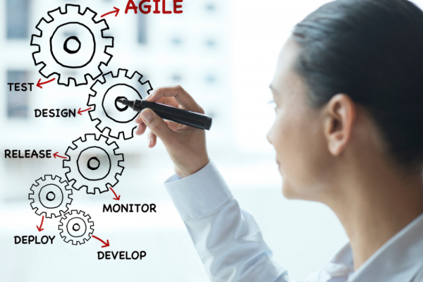 How Agile Testing Principles Ensure To Deliver Better Quality Software